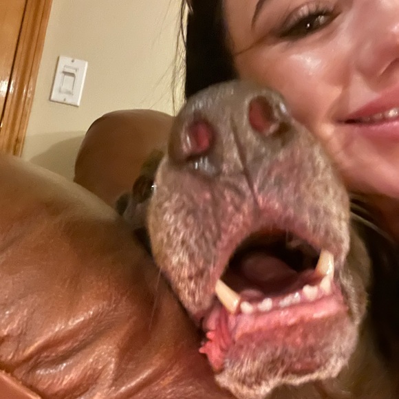 Meet your Posher, Francesca - Picture 2 of 9